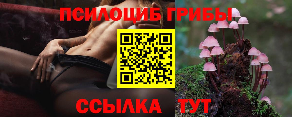 Псилоцибиновые грибы мицелий  Вход с VPN  хочу наркоту  Мурманск 